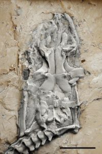 Artikelbild