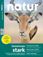 nk_2016-006_570x_cover_klein.jpg