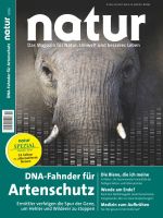 nk_2016-010_450x_1_Cover-klein.jpg