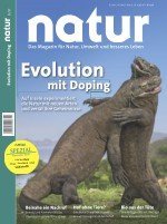 nk_2017-011_Cover_klein.jpg