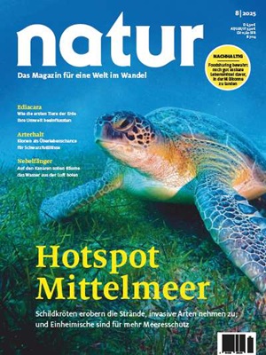 Cover natur 08/2025