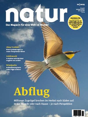 Cover natur 10/2025