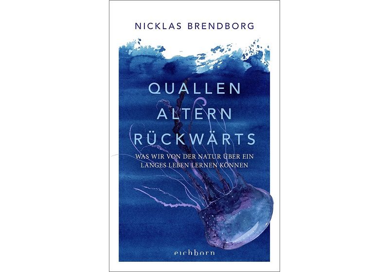 Cover QUALLEN ALTERN RÜCKWÄRTS von Nicklas Brendborg