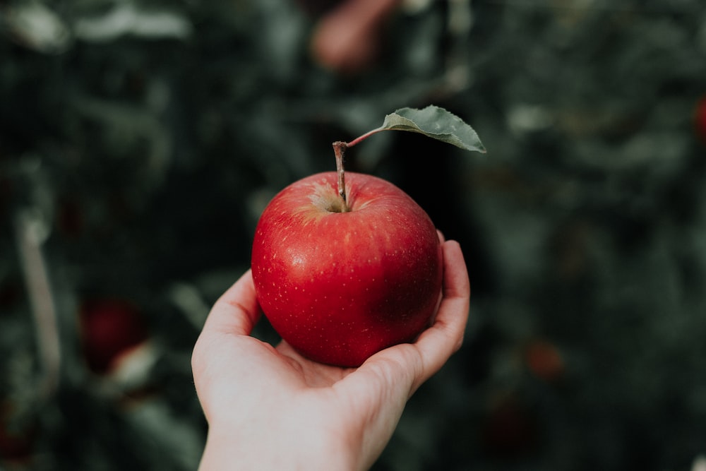 Roter Apfel