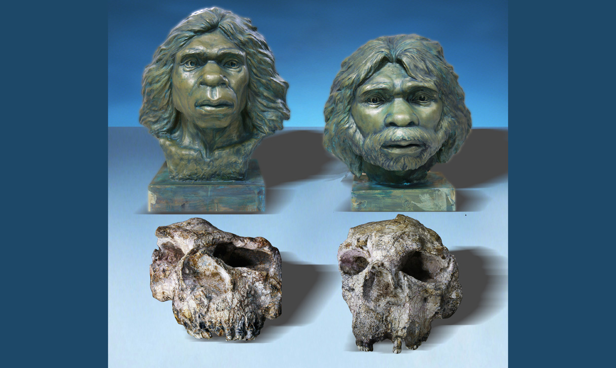Schädel aus China sind älteste Homo-erectus-Fossilien Ostasiens