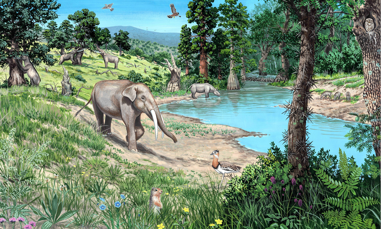 Ur-Landschaft Europas: Offene Flächen statt dichter Wälder