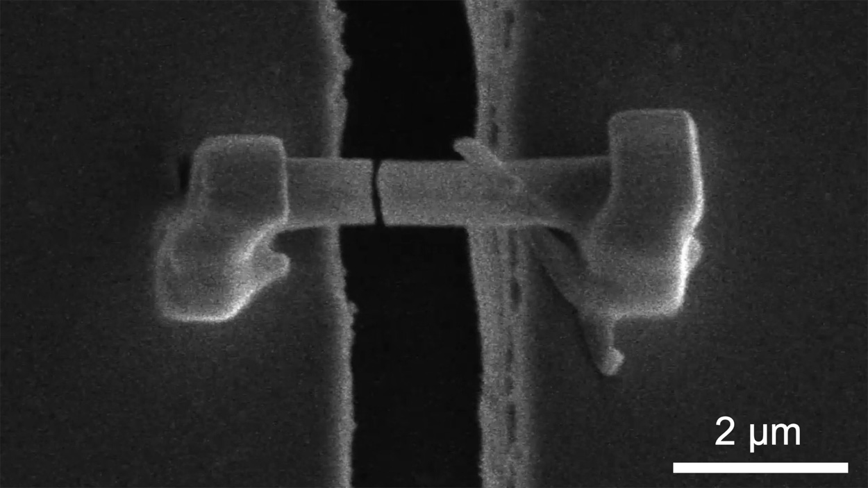 Wie sich Lithium-Metall-Batterien sicherer gestalten lassen