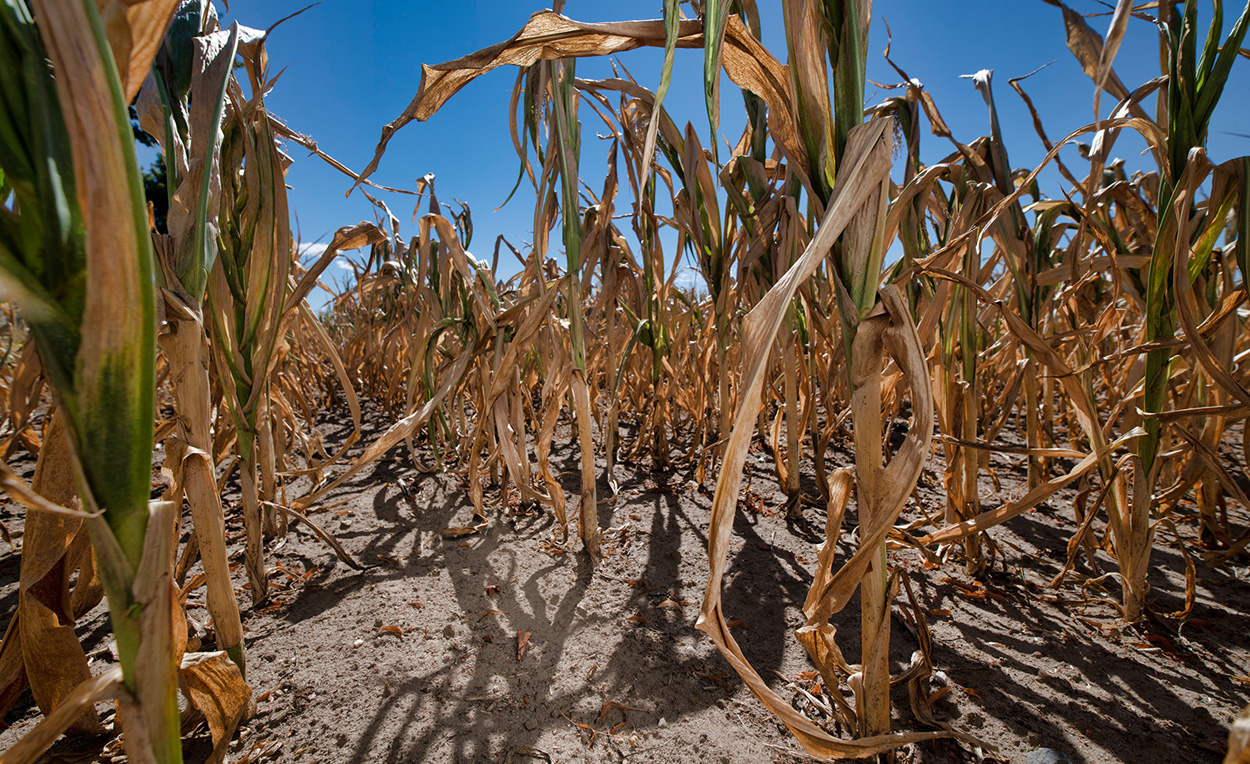 Extreme Klimafolgen schon bei zwei Grad Erwärmung möglich