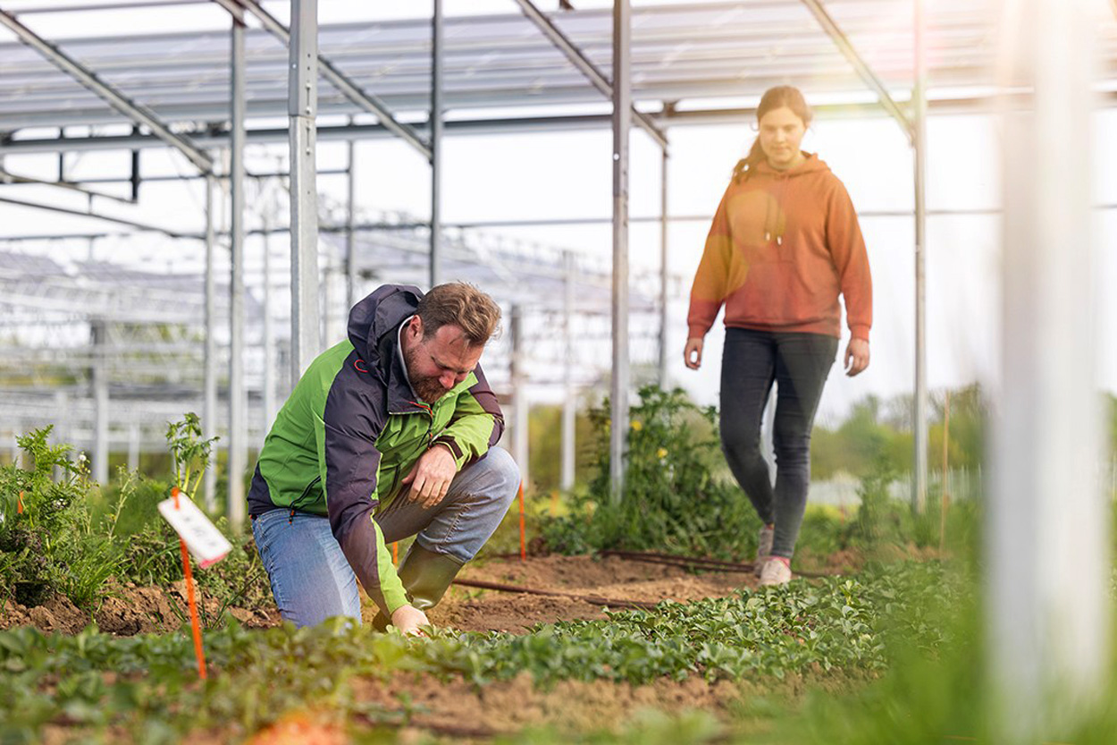 Agri-PV: Mehr als nur Strom vom Acker