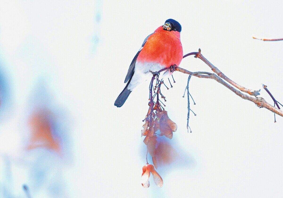 Bildergalerie „Natur im Fokus“: Farbenfrohe Natur