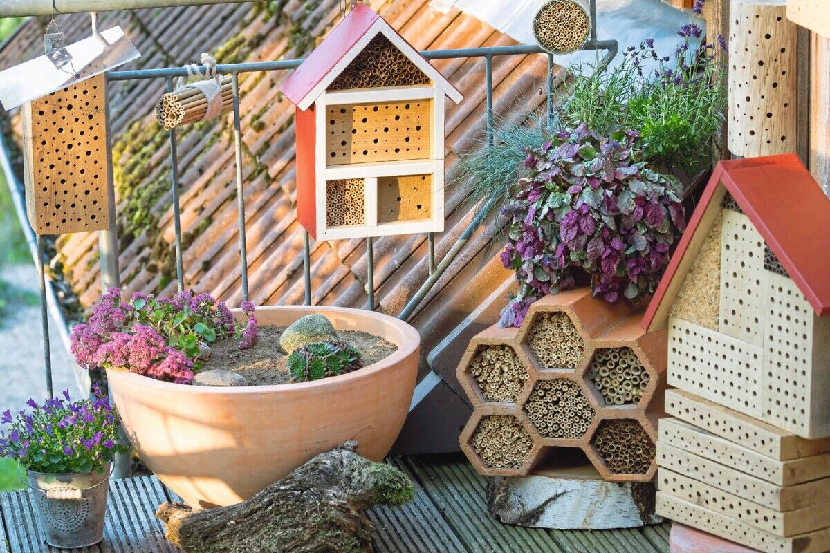 Vier Sterne für Wildbienen & Co.