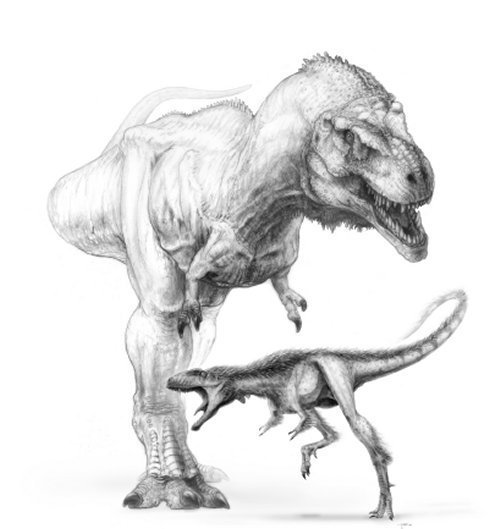 Winziger Tyrannosaurus