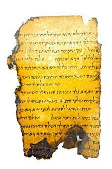 Die Bibel auf dem Prüfstand