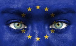 Es ist Zeit für eine europäische Umweltorganisation