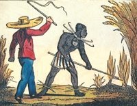 Sklaverei - der Fluch Afrikas