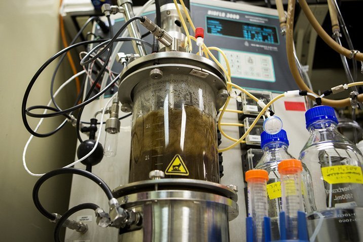 Teamwork ist Trumpf - auch beim Biosprit