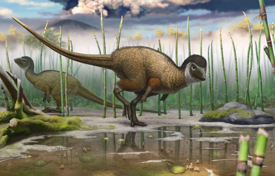 Feder-Dinos weit verbreitet