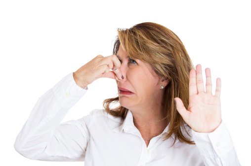 Wie bitte? Stuhltransplantation?