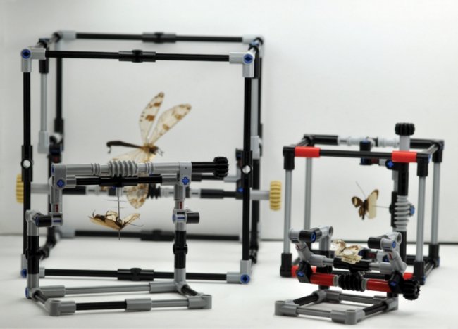 Insektenforscher spielen Lego