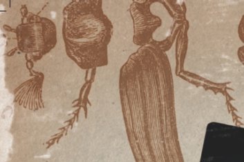 Aufbruch ins Unbekannte
