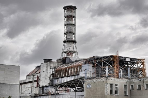 Das ökologische Gedächtnis