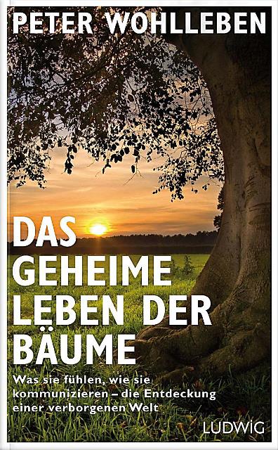 Eine baumstarke Gemeinschaft