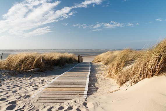 Wie gehts der Nordsee im Klimawandel?