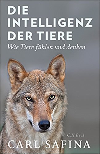 Freude, Angst und Eifersucht