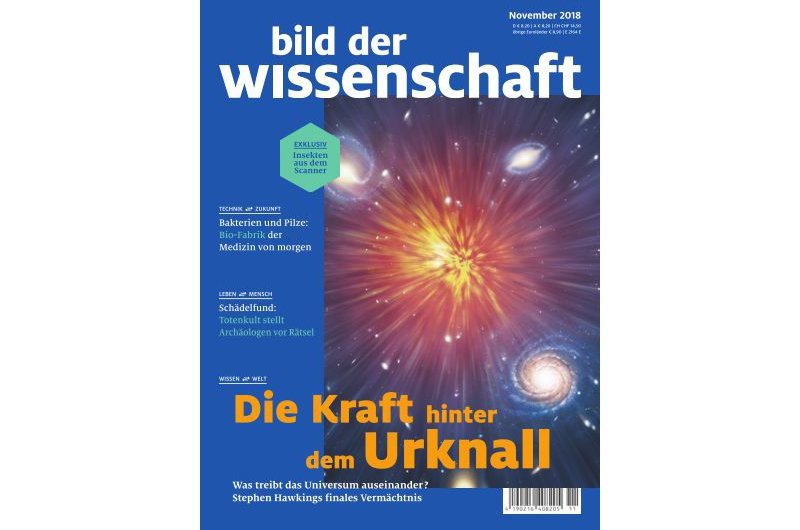 bild der wissenschaft 11-18