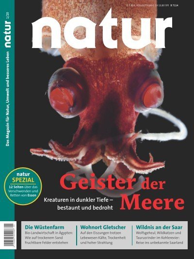 Geister der Meere