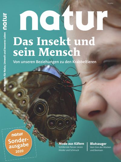 Das Insekt und sein Mensch