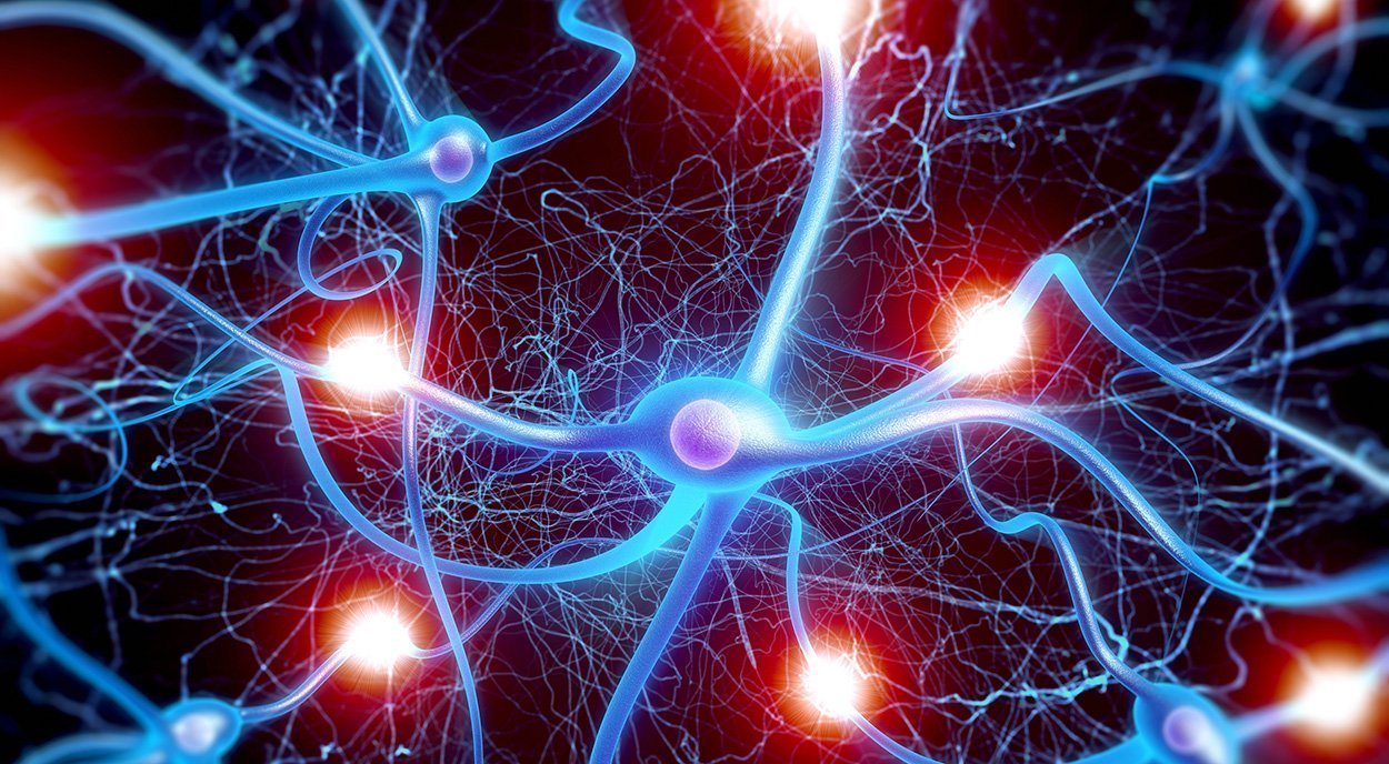 Zellumwandlung gegen Parkinson?