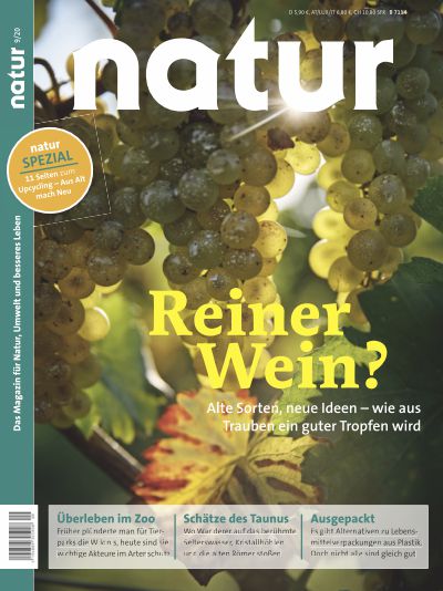 Reiner Wein?