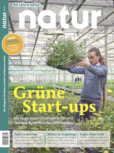 Grüne Start-ups