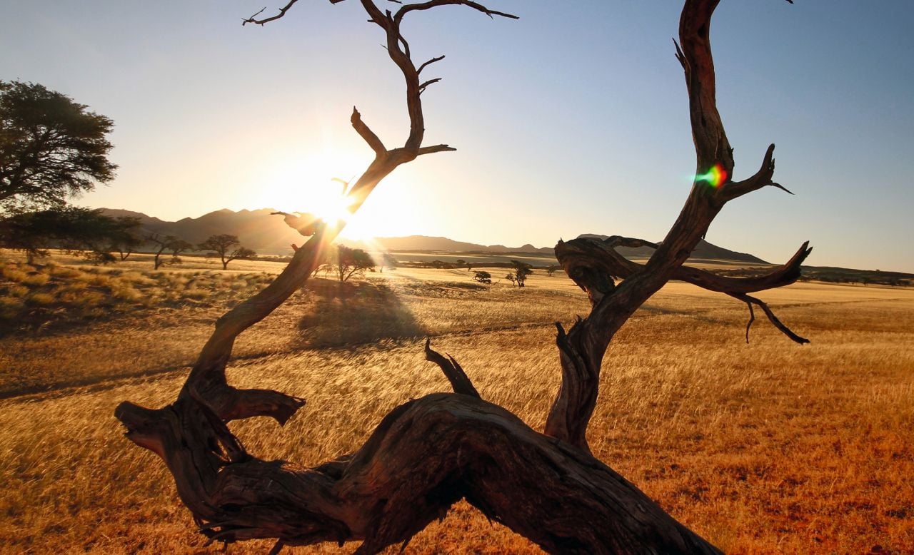 Abend in Afrika