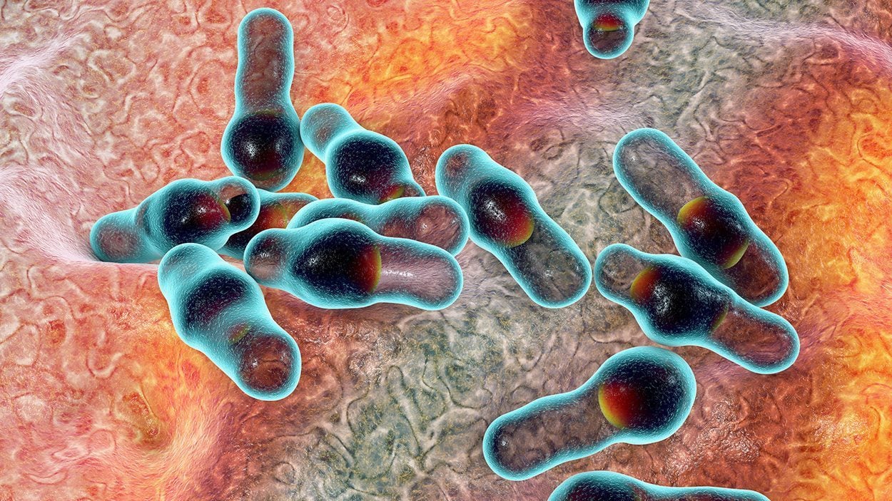 Tetanustoxin wirkt gegen Muskelschwund