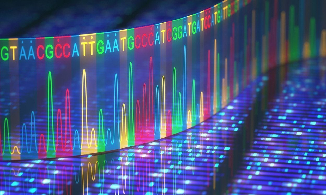 Wie die Gene unsere Moral beeinflussen