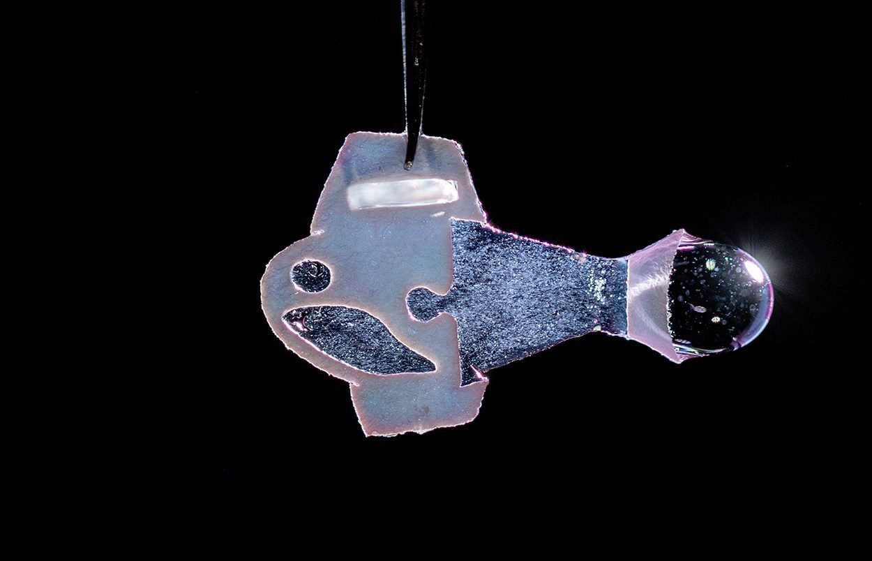 Künstlicher Fisch aus menschlichen Herzzellen