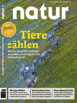 Tiere zählen