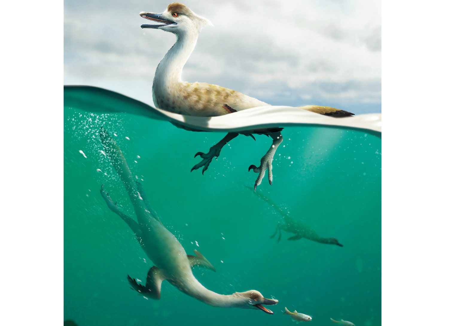 Stromlinienförmiger Aqua-Dino