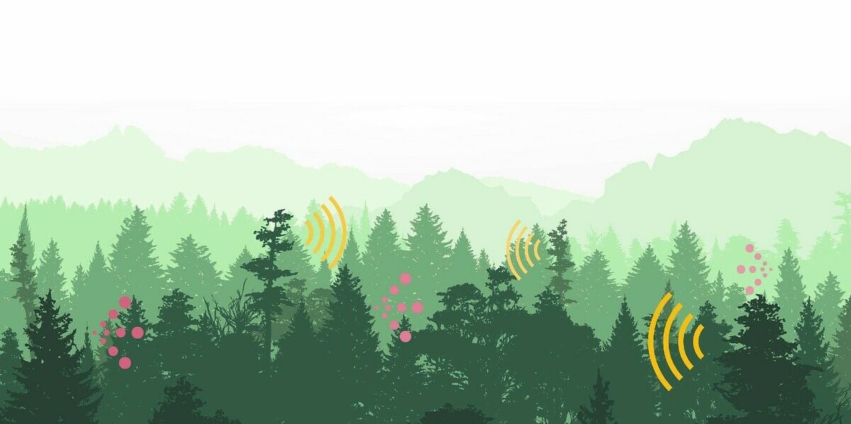 Von lautem Wald, lauschendem Mais und rufenden Tomaten