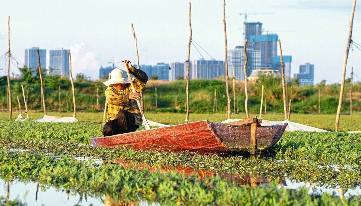 Wasserfarmer auf dem Trockenen
