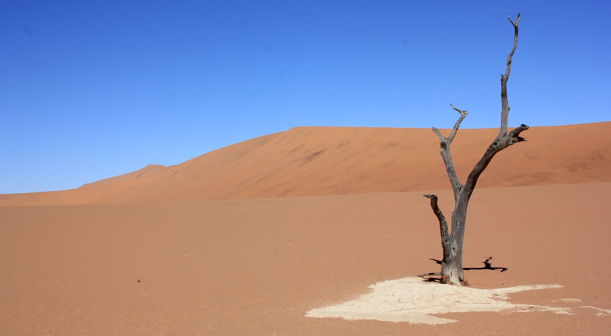 Globaler Wasserbericht: Die Extreme häufen sich