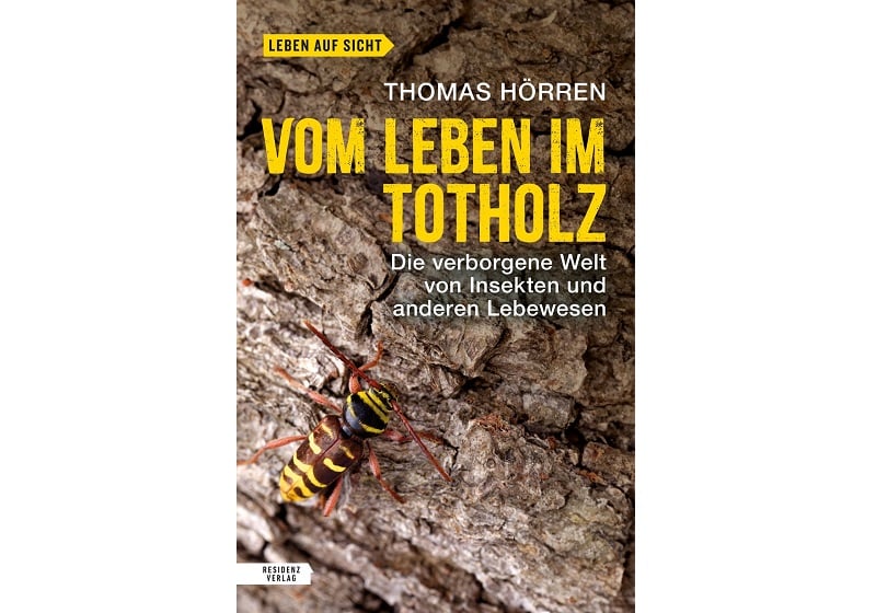 Blick unter die Borke