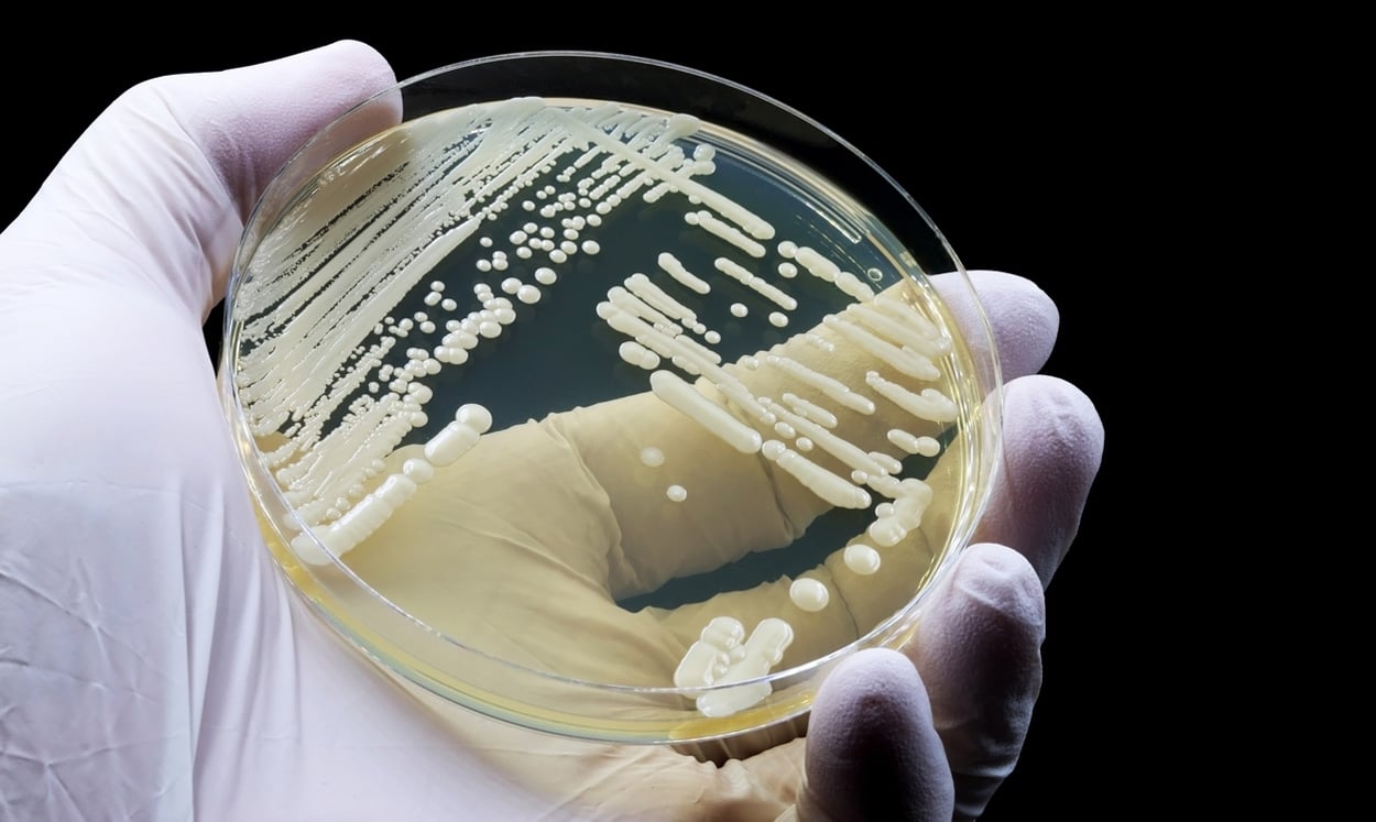 Neuer Wirkstoff gegen multiresistente Pilze