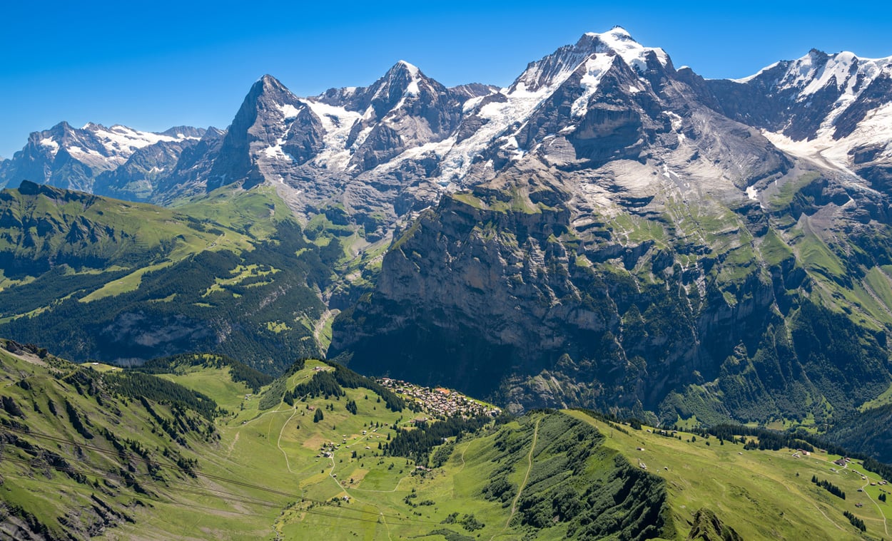 Wie beeinflusst der Klimawandel Tiere und Pflanzen der Gebirge?