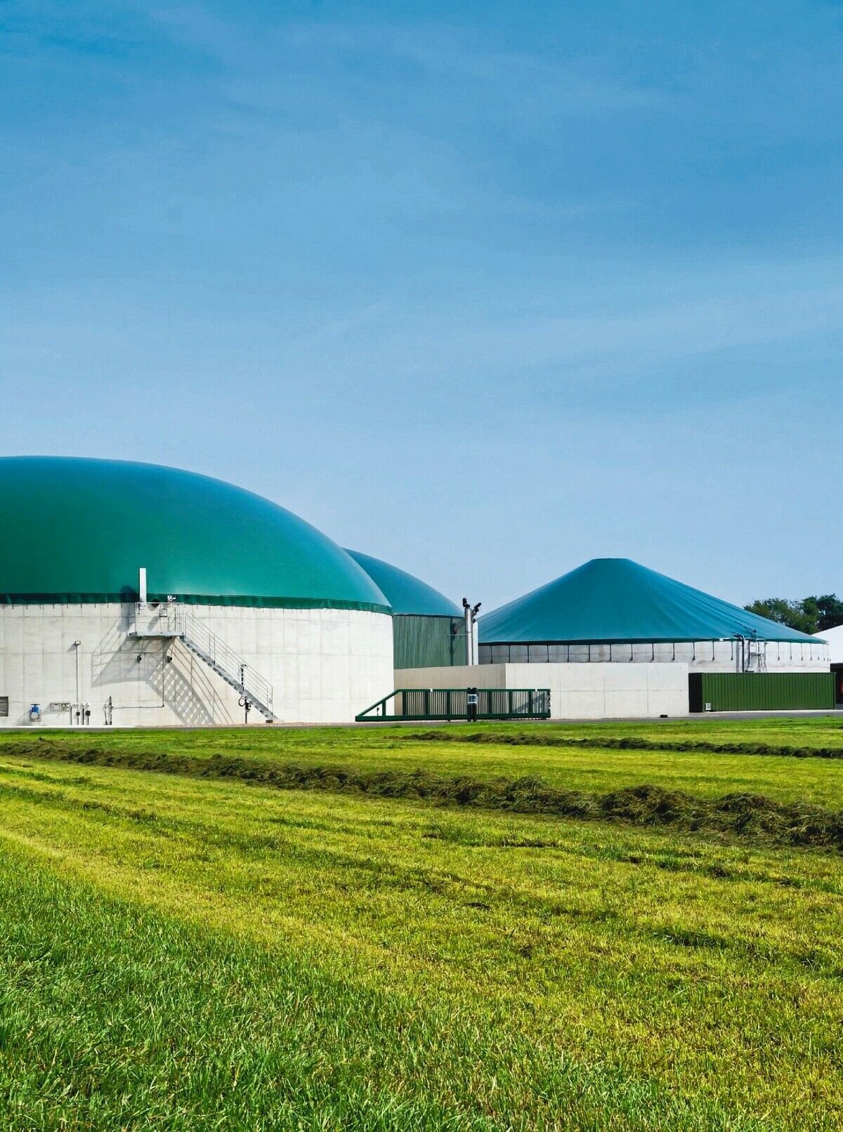 Gute Aussichten für grünes Gas