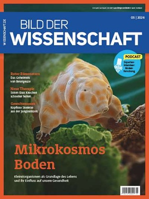 Mikrokosmos Boden