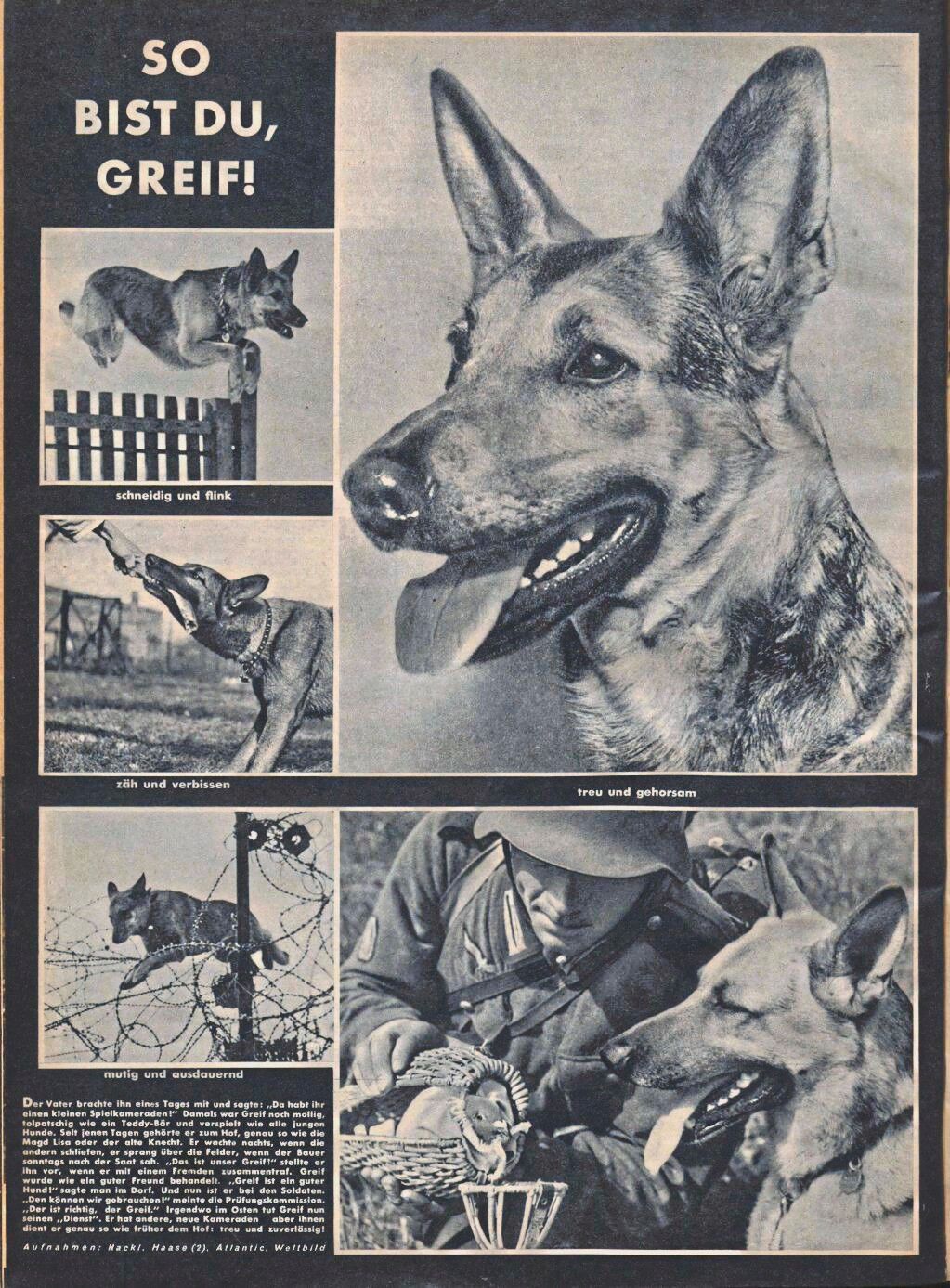 Tiere im Dienst der NS-Herrschaft