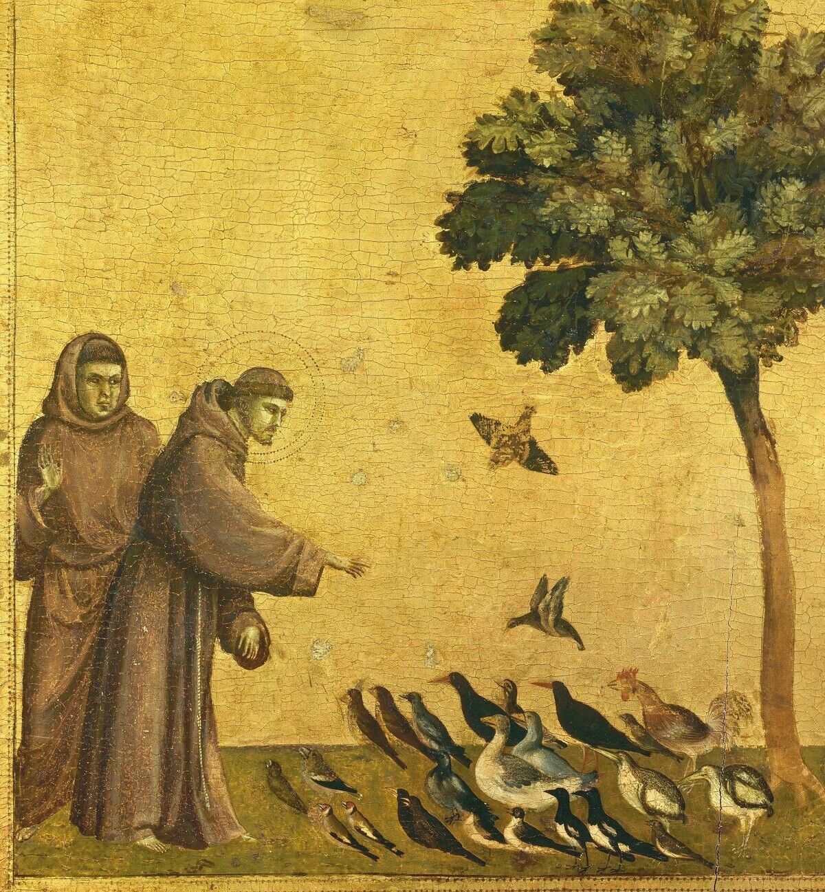 Franziskus von Assisi